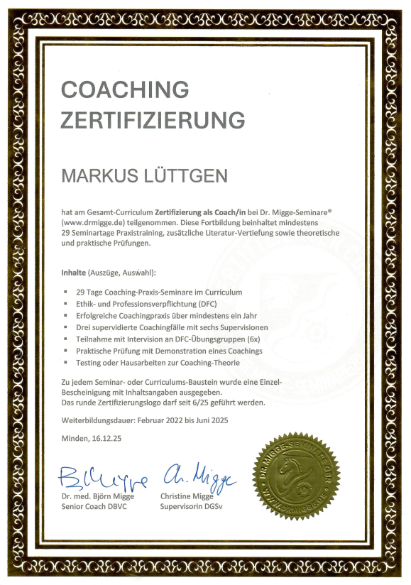 Systemischer Führungskräfte-Coach